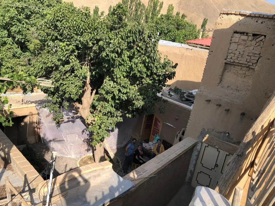 نمای درخت شاتوت